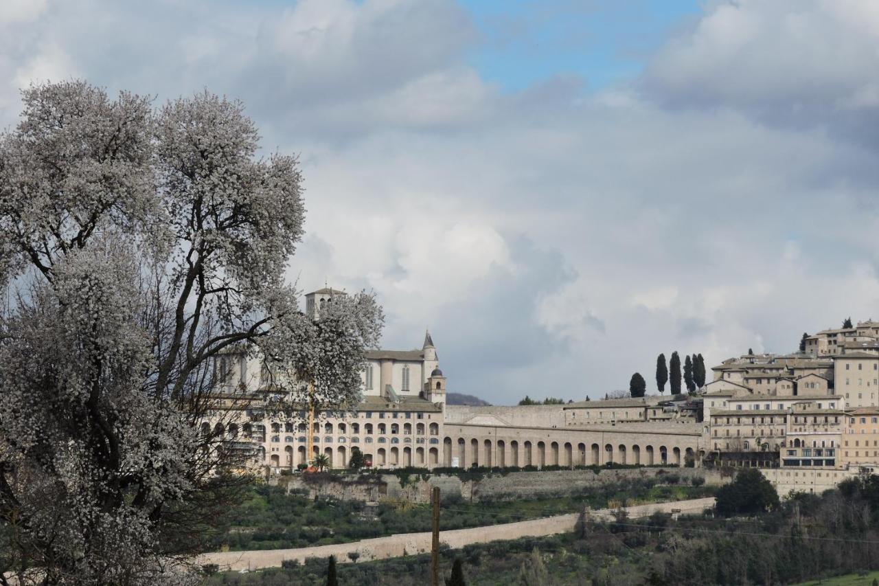 Da Franca Bed and Breakfast Assisi Exteriör bild